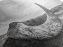 Driftwood Horn Curve, Coastal Nature Art, Whale Bone Decor, Beachside Minimalism, Canvas Print, Entryway Wall Art, Nautical Rustic Decor