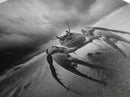 Fierce Crab, Coastal Storm, Ocean Mood, Dramatic Shore, Framed Canvas Print, Bathroom Wall Art, Beach House Decor, Marine Photography