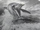 Leaping Dolphin, Ocean Life, Marine Animal, Waves Splashing, Framed Canvas Print, Coastal Kids Room Art, Beach House Decor