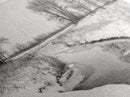 Frozen Stream Scene, Bare Trees Landscape, Black and White Nature Decor, Canvas Print, Winter Wall Art, Neutral Bedroom Accent