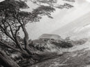 Ocean View, Coastal Trees, Cliffside Vista, Light and Shadows, Framed Canvas Print, landscape wall art, modern beach decor, boho living room