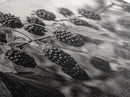 Blackberries on Vine, Farmhouse Kitchen Art, Rustic Fruit Wall Decor, Country Style, Autumn Botanical Photography, Canvas Print