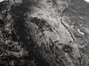 Animal Track Print, Nature Scene, Forest Ground, Autumn Photography, Framed Canvas Print, Rustic Cabin Wall Art, Earth Tone Decor