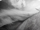 Desert Storm, Solitude Photography, Dramatic Landscape Art, Wind and Sand Scene, Canvas Print, Modern Living Room or Office Wall Art