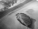 Beach Leaf Still, Autumn Nature Scene, Calm Ocean Shoreline, Canvas Print, Fall Bathroom Wall Art, Neutral Earth Tone Decor