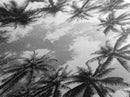 Palm Tree Sky, Tropical Canopy, Black and White Island View, Jungle Overhead Scene, Framed Canvas Print, Bathroom Wall Art, Beach Boho Decor