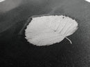Floating Leaf, Still Water, Nature Simplicity, Autumn Calm, Canvas Print, Minimalist Wall Art, Bathroom Decor, Scandinavian Fall Style