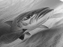 Underwater Trout Closeup, Realistic Fish, Nature Photography, Canvas Print, Man Cave Art, Fishing Lover Gift, Rustic Lake Decor