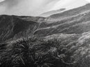 Lush Mountain Range, Cloud Covered Peaks, Jungle Tranquility, Framed Canvas Print, Entryway Wall Art, Black and White Nature, Boho Wall Art