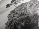Rocky Coast, Lone Trees, Ocean View, Monochrome Calm, Framed Canvas Print, Bathroom Wall Art, Coastal Style, Minimalist Mountain Art