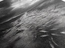 Fish Migration, Dramatic Sky, Moody Landscape, Framed Canvas Print, Dark Nature Art, Rustic Cabin Decor, Fall Wall Art, Nature Drama