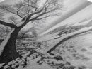 Coastal Snow, Barren Tree, Frozen Shoreline, Canvas Print, Serene Winter Decor, Entryway or Hallway Minimalist Wall Art