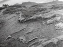 Rocky Cliff Trail, Coastal Hiking, Rugged Landscape, Nature Adventure Art, Framed Canvas Print, Cabin Wall Decor, Black and White Aesthetic