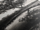 Tree Reflection, Still Water, Peaceful Nature, Framed Canvas Print, Tranquil Wall Art, Rustic Bedroom Decor, Black and White Photography