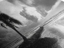 Solitary Palm Tree, Ocean Storm, Moody Landscape, Beach Wall Decor, Framed Canvas Print, Coastal Living Room Art, Monochrome Photography