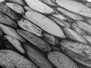 Zen Stones, Nature Texture, River Rock Closeup, Minimalist Photography, Framed Canvas Print, Spa Bathroom Wall Art, Modern Black White