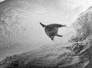 Ocean Dolphin Jump, Seascape Art, Black White Photography, Coastal Wall Decor, Canvas Print, Minimalist Bathroom Wall Art, Nautical Style
