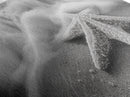 Starfish Closeup, Ocean Wave Motion, Coastal Macro Scene, Framed Canvas Print, minimalist beach decor, bathroom wall art, nautical vibe
