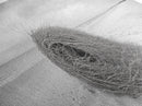 Tumbleweed Nest, Desert Beach, Natural Sculpture, Coastal Simplicity, Canvas Print, Modern Boho Wall Art, Neutral Home Aesthetic