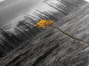 Lone Sprout, Forest Renewal, Emotional Nature Scene, Moody Landscape Art, Framed Canvas Print, Autumn Wall Decor, Rustic Nature Style