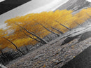 Golden Aspens, Fall Forest, Mountain Trees, Framed Canvas Print, Autumn Wall Art, Nature Cabin Decor, Fall Foliage, Rustic Living Room