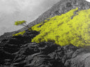 Lone Tree Lava, Surreal Earth Tones Decor, Abstract Volcanic Art, Black and Yellow Landscape, Canvas Print, Boho Living Room Accent