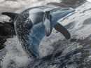 Jumping Dolphin, Ocean Splash, Monochrome Water, Framed Canvas Print, Coastal Wall Art, Bathroom Nautical Decor, Marine Life Photography