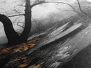 Stone Path, Autumn Trail, Moody Forest, Yellow Leaves, Canvas Print, Fall Nature Wall Art, Rustic Entryway Decor, Misty Woodland Scene