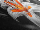 Lily Closeup, Vibrant Bloom, Floral Detail, Orange Petals, Framed Canvas Print, Kitchen Wall Art, Nature Inspired Art, Botanical Print