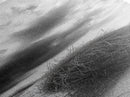 Tumbleweed Desert,Canvas Print, Rustic Southwest Wall Art, Moody Landscape Art, Extra Wide Art, Above Sofa Art, Farmhouse Decor