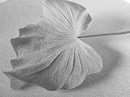 White Leaf, Botanical Prints, Minimalist Art, Wabi Sabi Wall Art, Monochrome Art, Modern Art, Living Room Art, Canvas Print