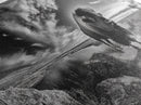 Bison Landscape, Southwest Wall Art, Rustic Wall Art, Moody Art, Panoramic Art, Extra Wide Art, Nature Wall Art, Framed Canvas Print