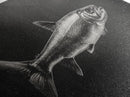 Trout, fish painting, fly fishing art, rustic decor, cabin wall art, nature painting, extra wide art, panoramic art, framed canvas print