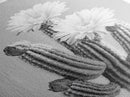 Cactus Bloom, desert botanical, minimalist art, black and white, southwest wall art, framed canvas print, vertical wall art, moody art