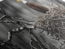 Bald Eagle, Nature Wall Art, Rustic Art, Wildlife Photography, Bird Art, Above Sofa Art, Panoramic Art, Framed Canvas Print