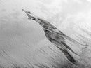 Lone Coyote, southwest wall art, wabi sabi art, extra wide art, moody art, landscape painting, framed canvas print, panoramic art