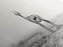 Lone Gazelle, moody art, southwest wall art, extra wide art, wabi sabi art, minimalist art, framed canvas print, panoramic painting