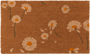 Daisy Flowers