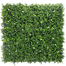 Sample Panel – White Flowering Boxwood Green Wall (Small Sample) by Designer Plants USA