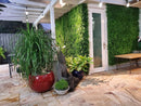 Sample Panel – Lush Fern Green Wall (Small Sample) by Designer Plants USA