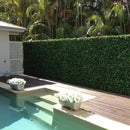 Sample Panel – Spring Sensation Green Wall (Small Sample) by Designer Plants USA