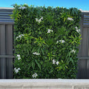 Sample Panel – Snowy White Vertical Garden (Small Sample) by Designer Plants USA