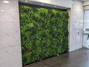 Sample Panel – Country Fern Vertical Garden (Small Sample) by Designer Plants USA