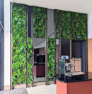 Sample Panel – Country Fern Vertical Garden (Small Sample) by Designer Plants USA