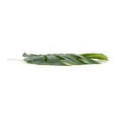 Single Philodendron Leaf Artificial Hanging Plant 11.5in (Clearance Price)