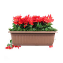 Draping Poinsettia Artificial Window Box Planter 20×14in – UV Resistant