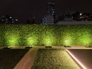 Lush Fern Artificial Vertical Garden Green Wall Panel 40×40in 11 SQ FT – UV Resistant – Commercial Grade