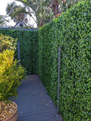 Jasmine Artificial Vertical Garden Green Wall Panel 40×40in 11 SQ FT – UV Resistant – Commercial Grade