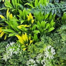 Evergreen Triptych Artificial Vertical Garden Green Wall Panel Set of 3 33 SQ FT – UV Resistant – Commercial Grade