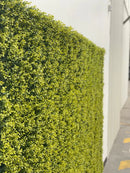 Yellow English Boxwood Artificial Vertical Garden Green Wall Panel 40×40in 11 SQ FT – UV Resistant – Commercial Grade